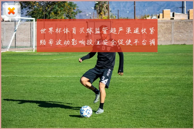 世界杯体育买球监管趋严渠道收紧赔率波动影响投注安全促使平台调整