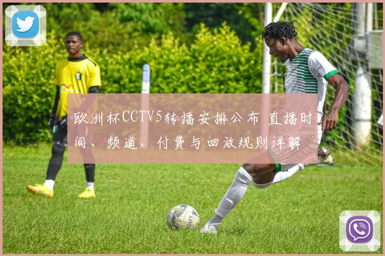 欧洲杯CCTV5转播安排公布 直播时间、频道、付费与回放规则详解