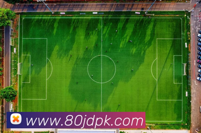 尊龙凯时人生就是搏(中国区)官方网站平台生态图